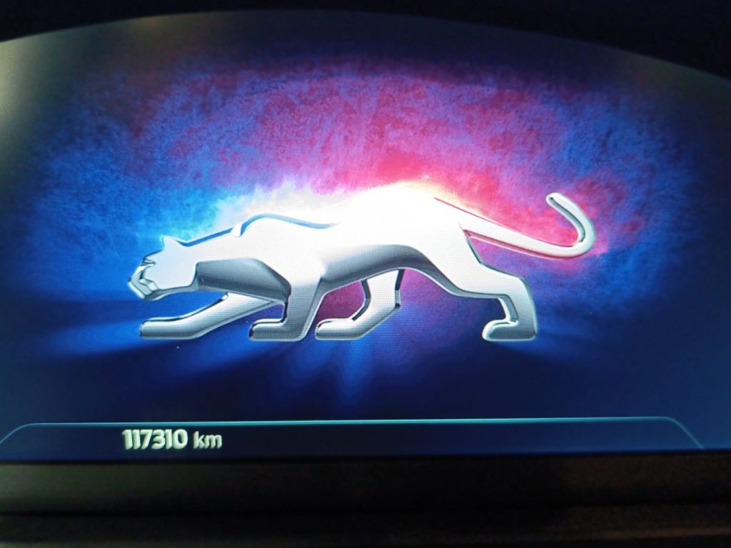 FORD Puma 1.5 EcoBlue 120 CV S&S ST-Line - 15