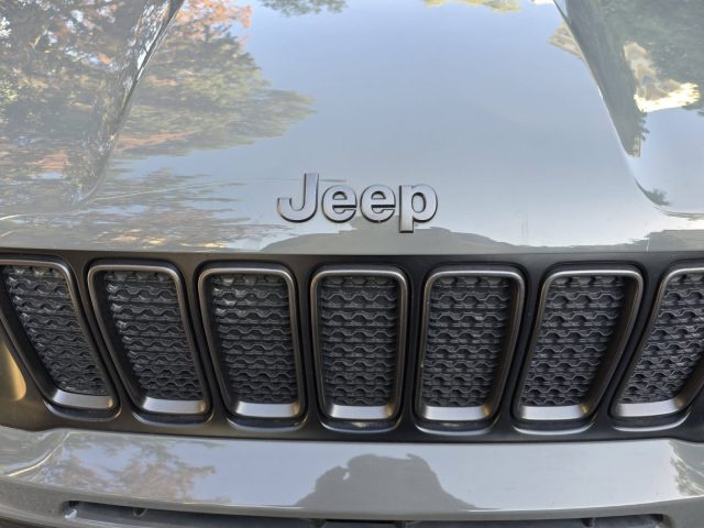 JEEP Renegade Grigio pastello