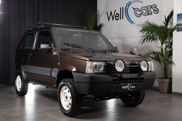 FIAT Panda Marrone metallizzato