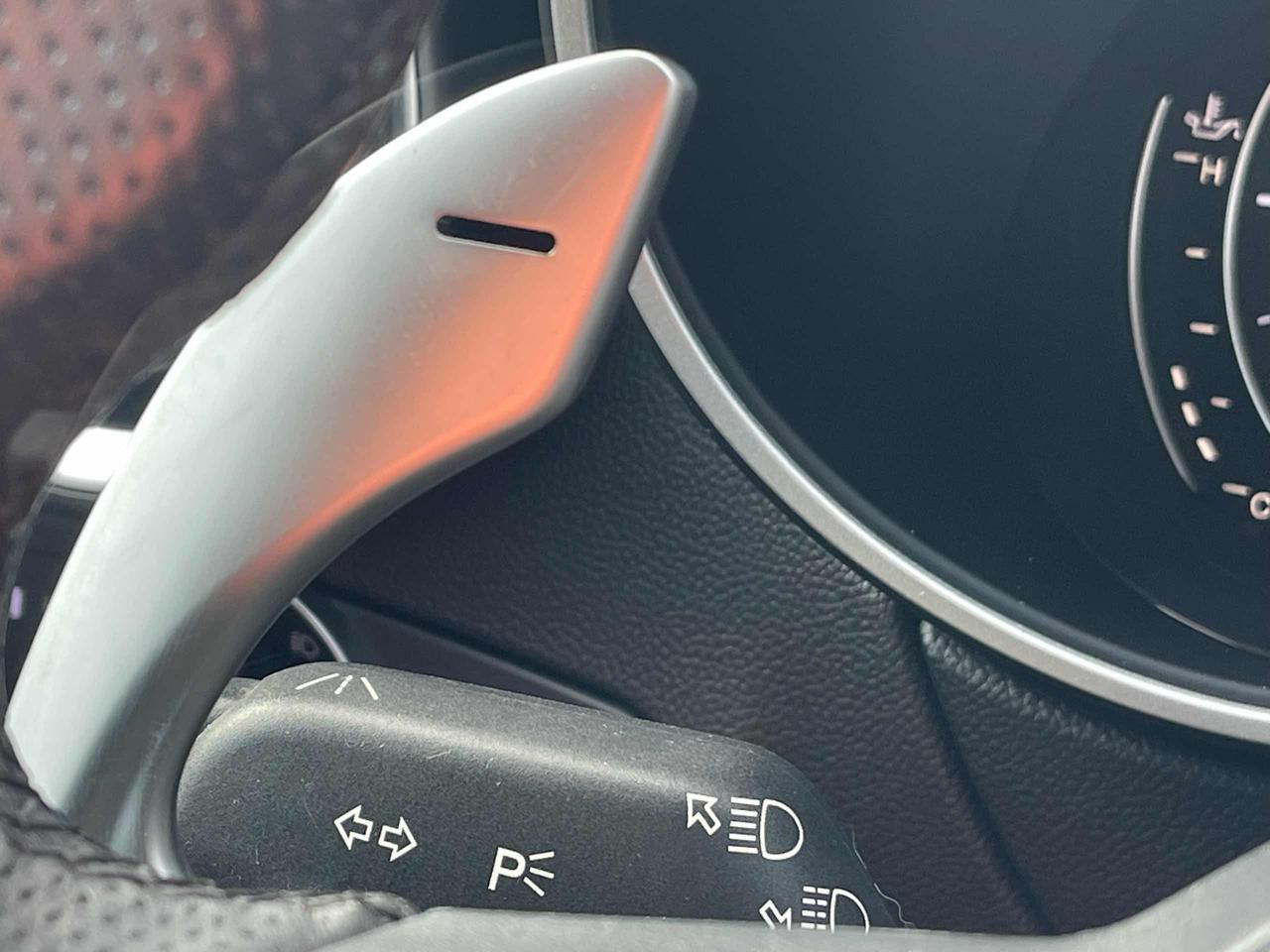 ALFA ROMEO Stelvio 2.2 Turbodiesel 210 CV AT8 Q4 Veloce - 14