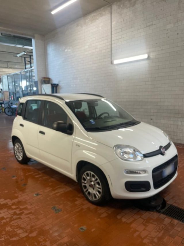 FIAT Panda Bianco pastello