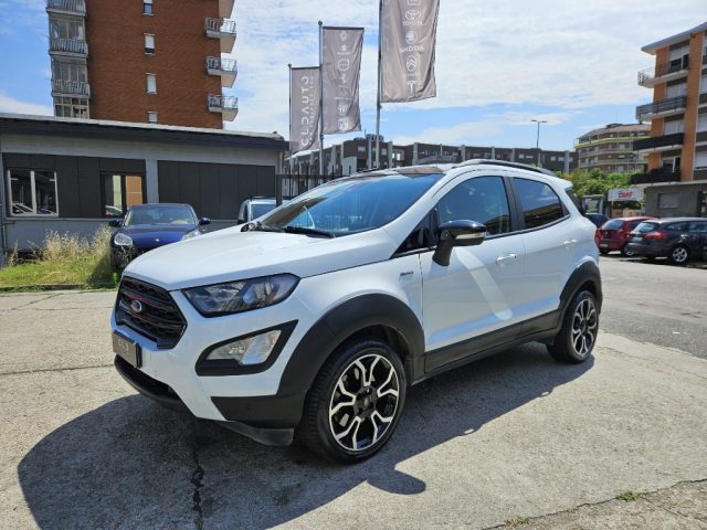 FORD EcoSport Bianco metallizzato