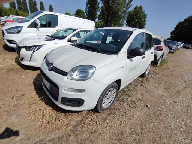 FIAT Panda Bianco pastello