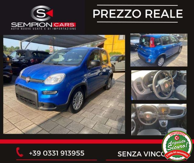 FIAT Panda Azzurro pastello