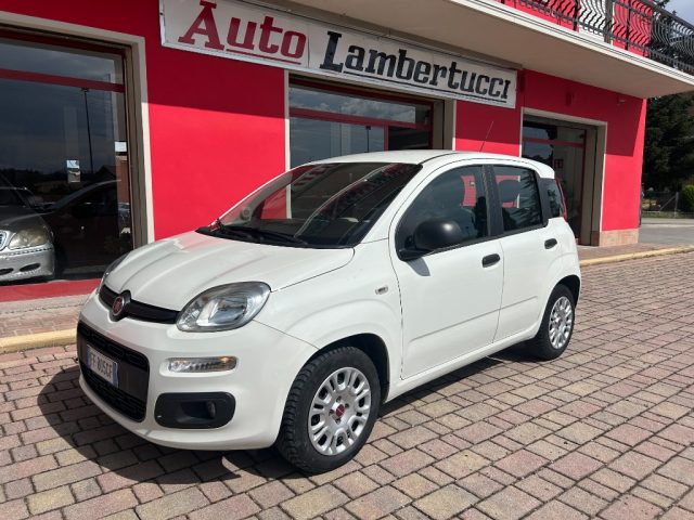 FIAT Panda Bianco pastello