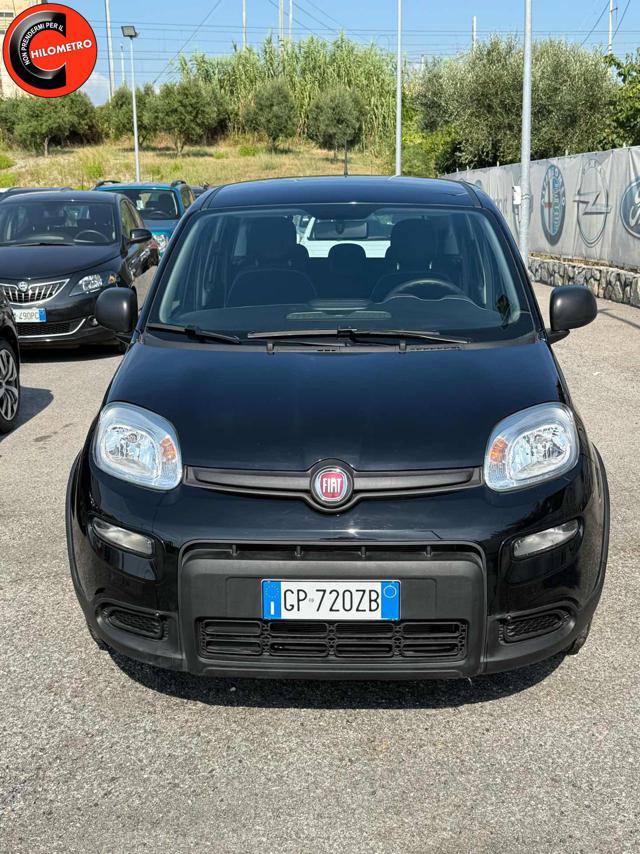 FIAT Panda Nero pastello