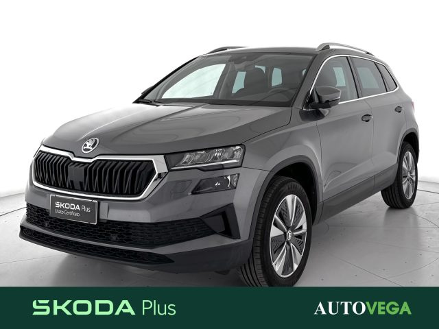SKODA Karoq Grigio pastello