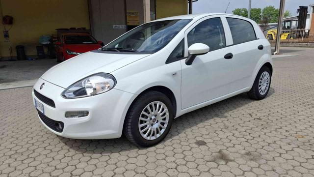 FIAT Punto Bianco pastello
