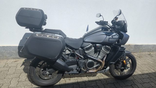 HARLEY-DAVIDSON Pan America 1250 Grigio pastello