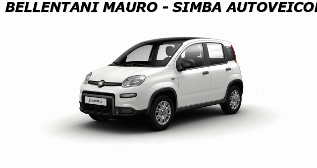 FIAT Panda Bicolore Bianco con Tetto Nero pastello