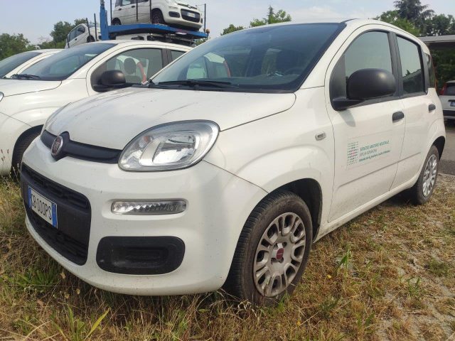 FIAT Panda Bianco pastello