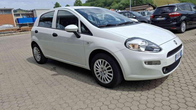 FIAT Punto Bianco pastello