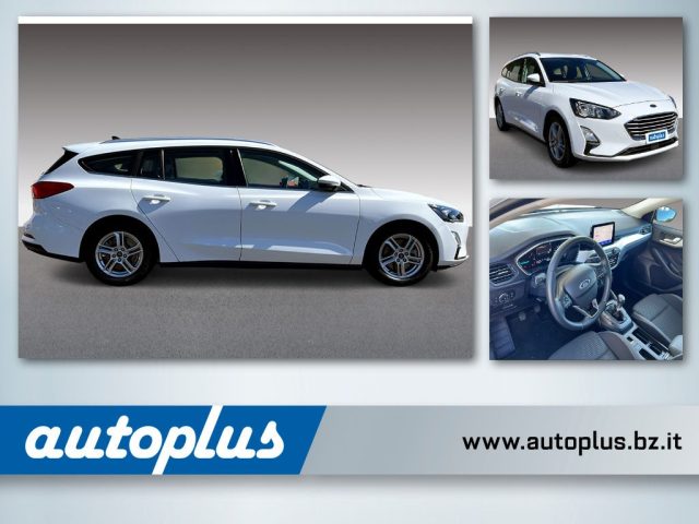 FORD Focus Weiß pastell