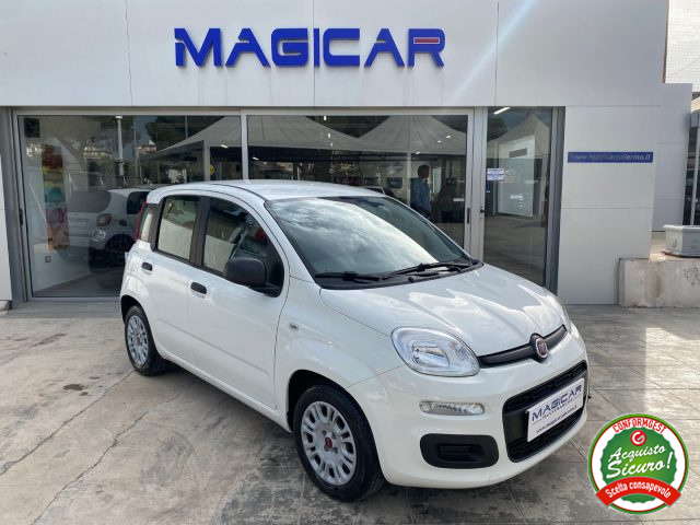 FIAT Panda Bianco metallizzato