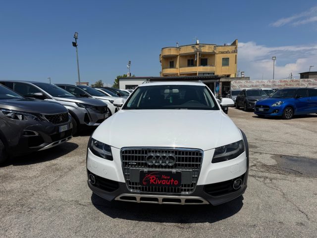 AUDI A4 allroad Bianco perlato
