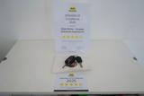 FIAT Tipo 14 thumb
