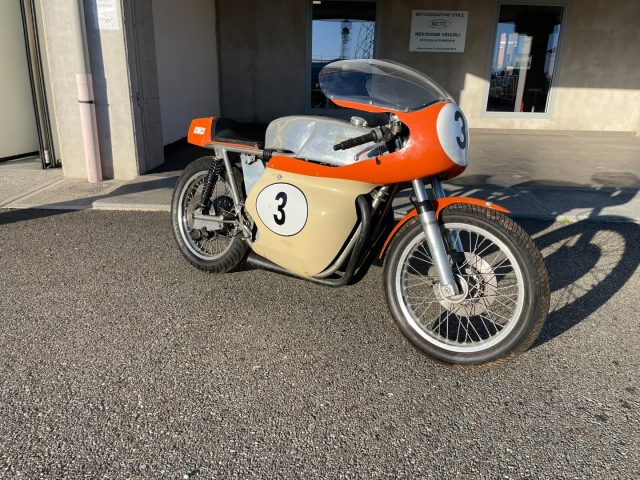 TRIUMPH Bonneville Bianco pastello