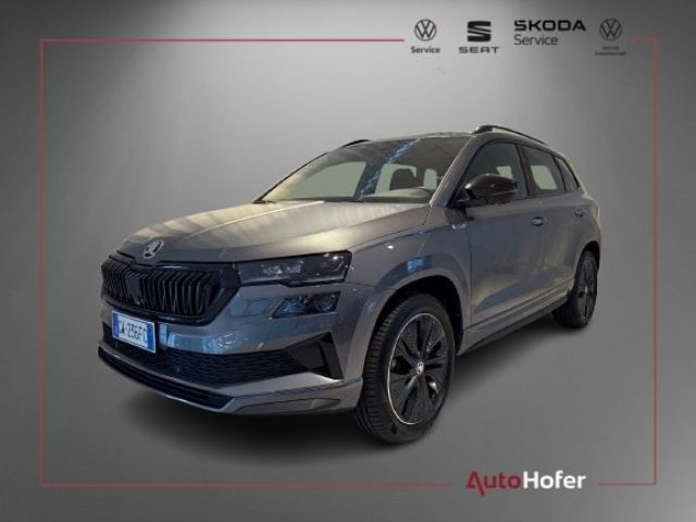 SKODA Karoq Grau metallisiert