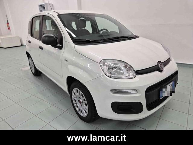 FIAT Panda Bianco pastello