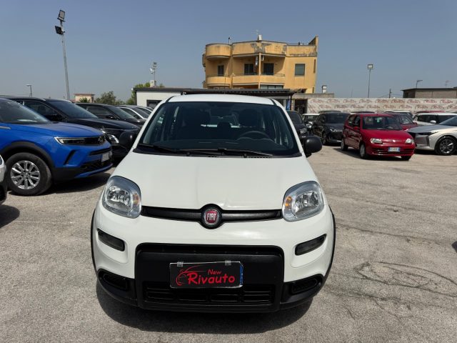 FIAT Panda Bianco metallizzato