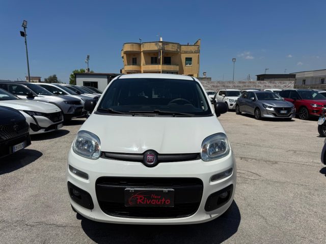 FIAT Panda Bianco pastello