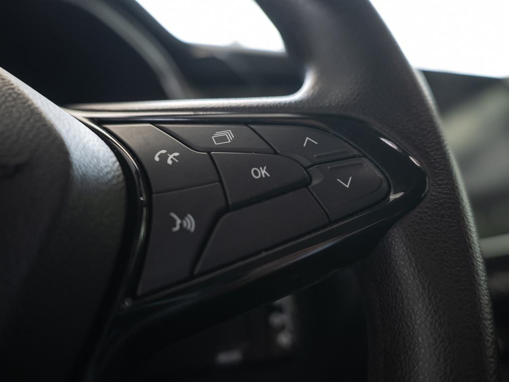 RENAULT ZOE R110 Life 36 MESI DI GARANZIA - 12