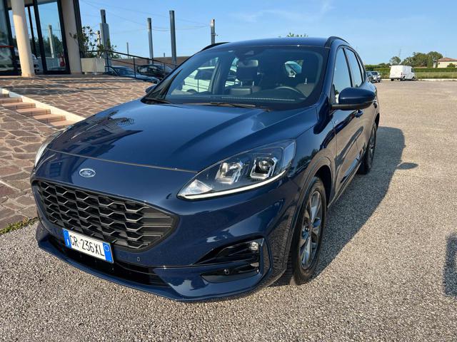 FORD Kuga Blu pastello
