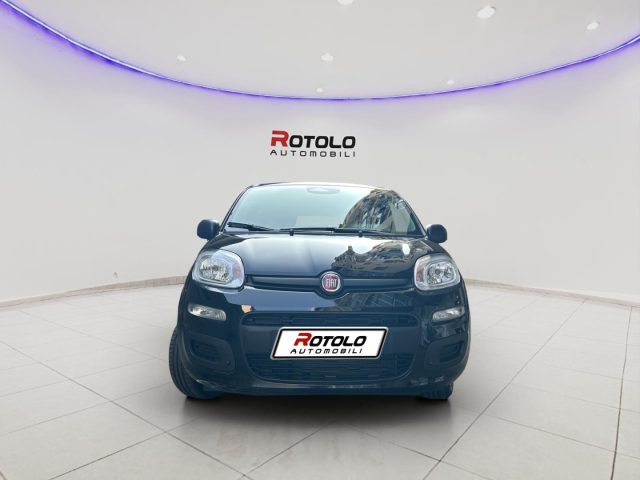 FIAT Panda Nero pastello