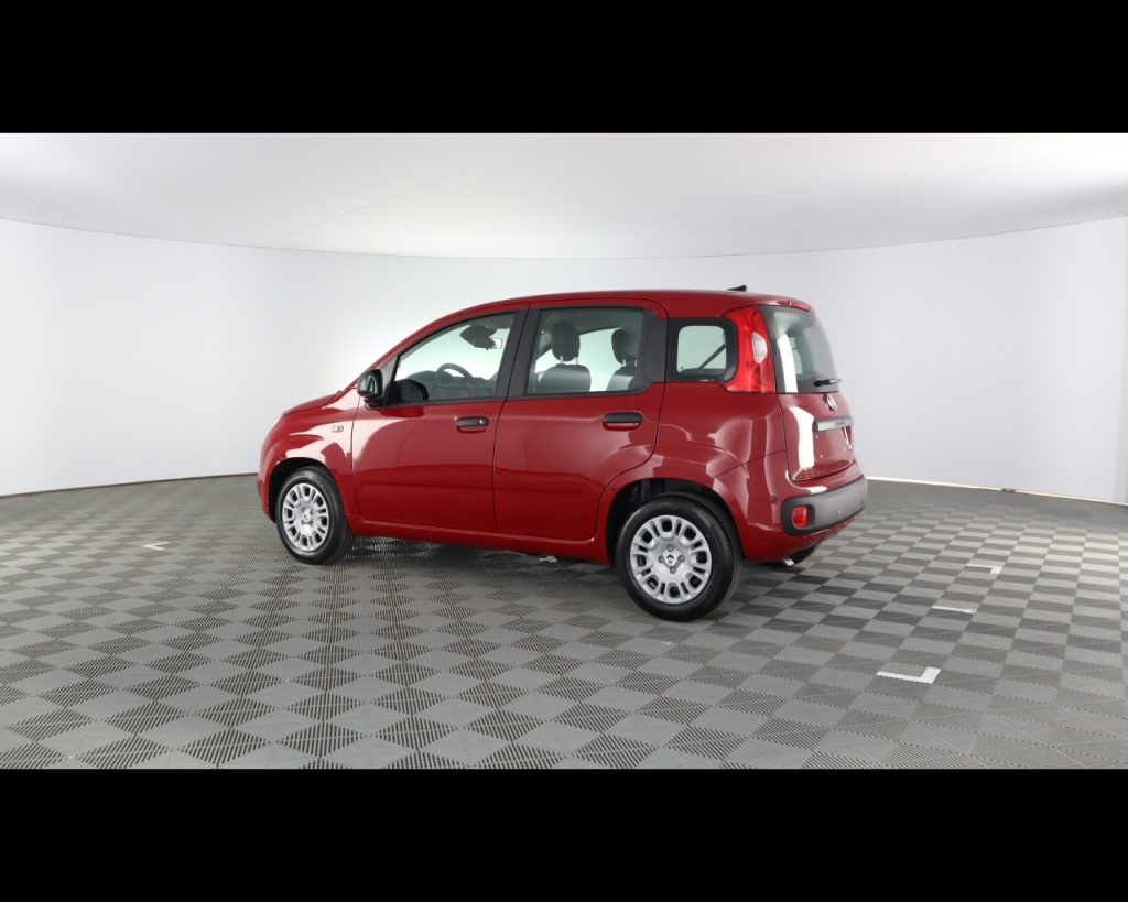 FIAT Panda My25 1.0 70cv Hybrid - 11