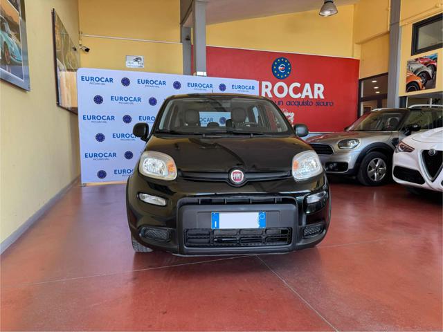FIAT Panda Nero pastello