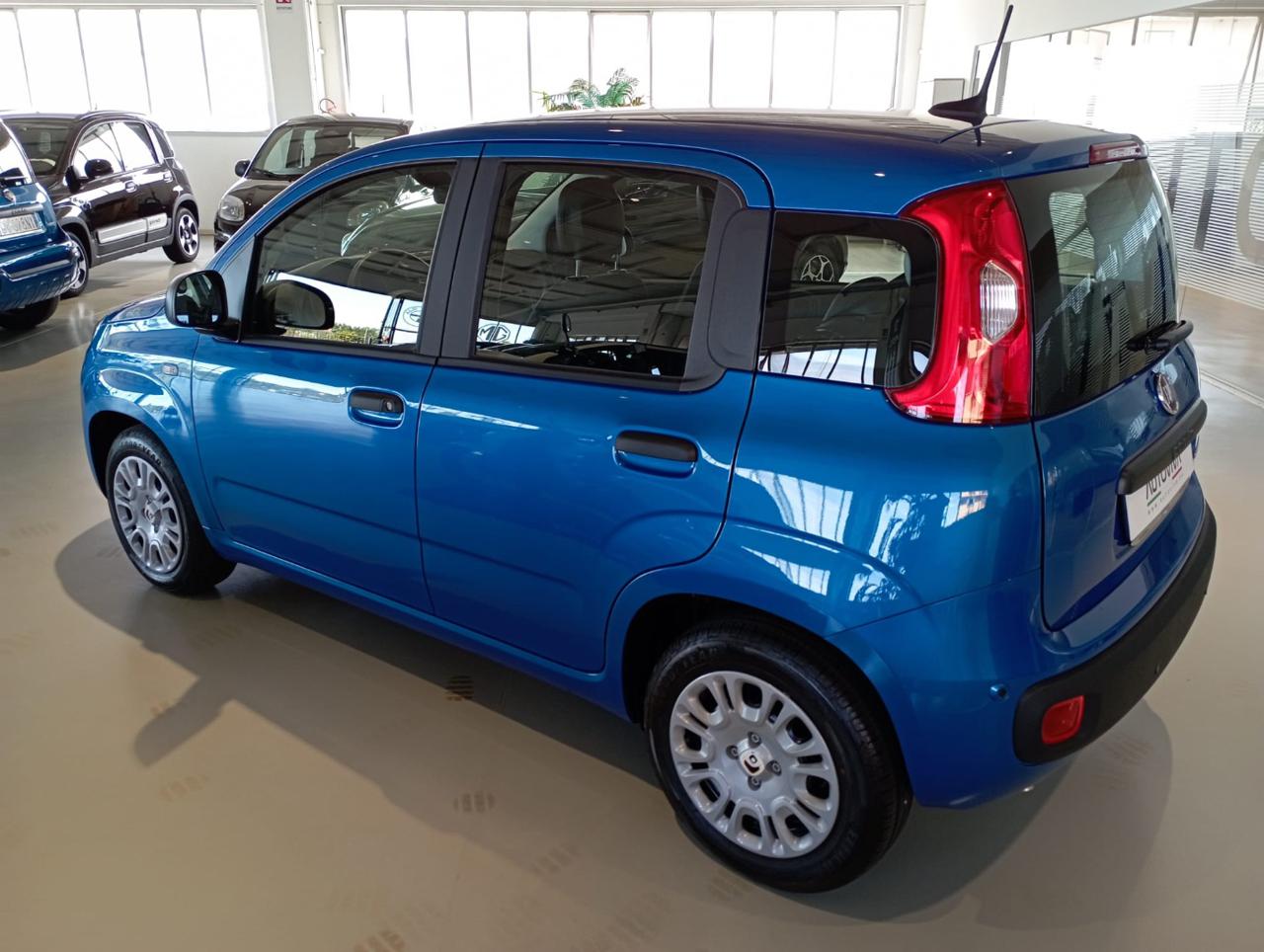 FIAT Panda 1.0 FireFly S&S Hybrid MY25 con Pack City - 6
