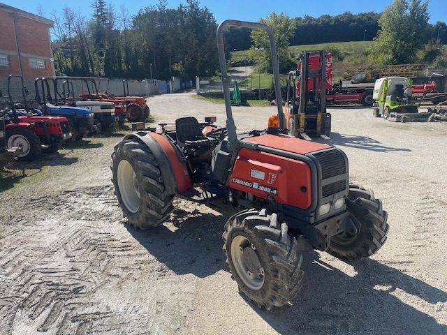 CARRARO  Rosso pastello