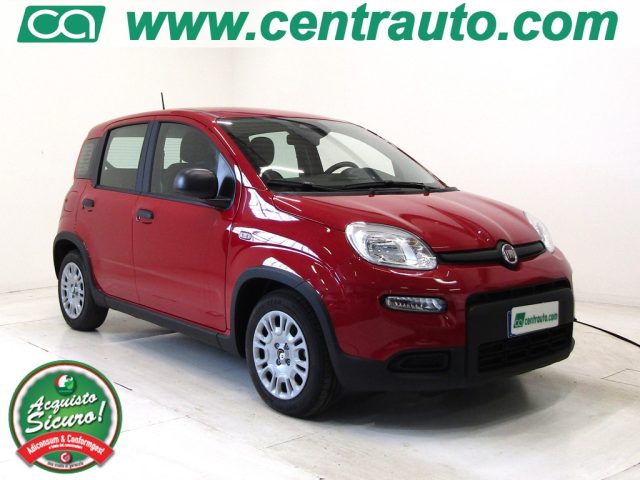 FIAT Panda Rosso pastello