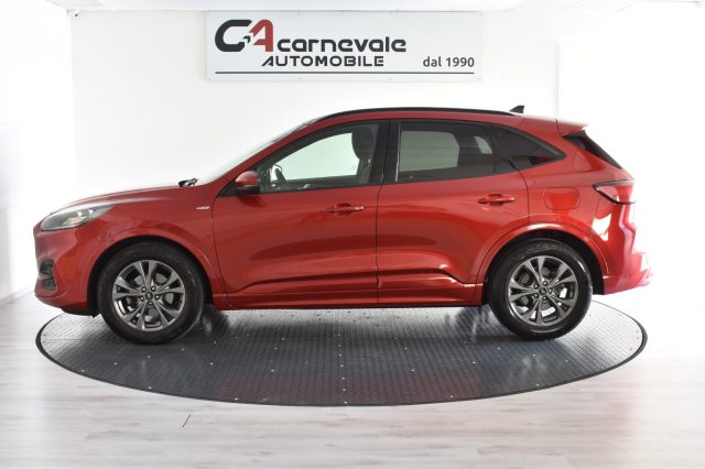 FORD Kuga Bordeaux metallizzato