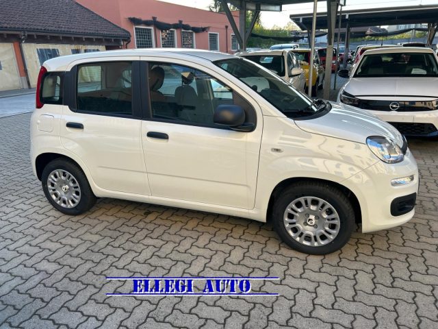 FIAT Panda Bianco extraserie pastello
