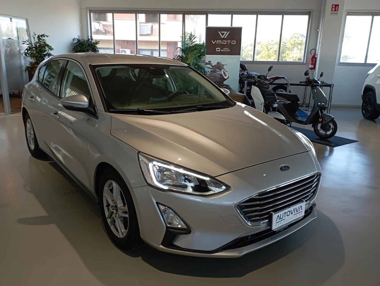 FORD Focus 1.5 EcoBlue 95 CV 5p. Plus - 3