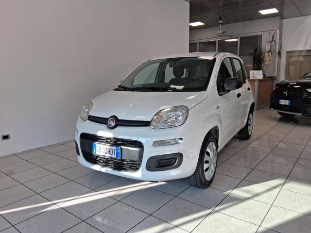 FIAT Panda Bianco pastello