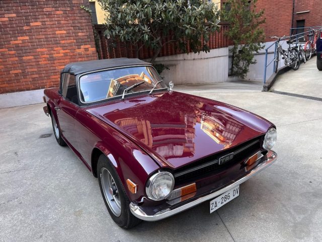 TRIUMPH TR6 Bordeaux metallizzato
