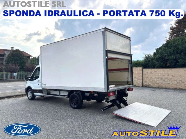 IVECO Daily Bianco pastello