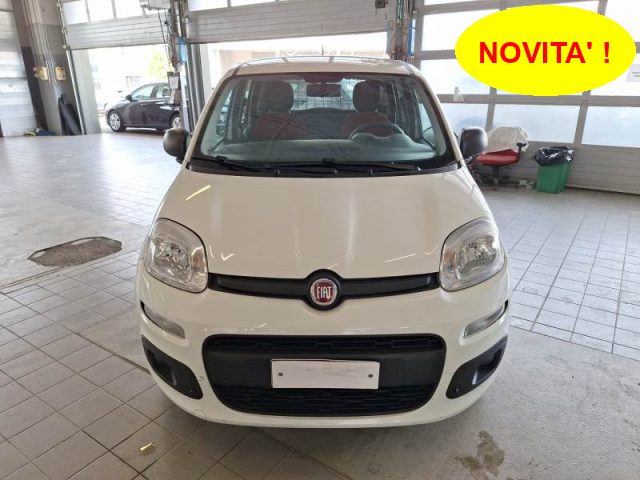 FIAT Panda Bianco pastello