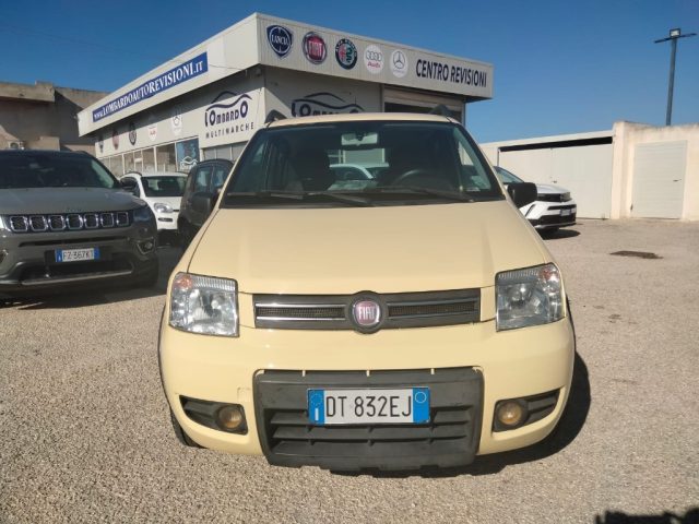 FIAT Panda Giallo metallizzato