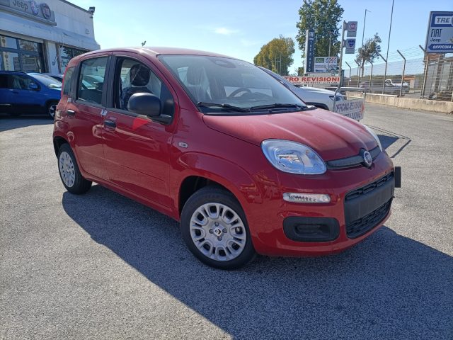 FIAT Panda Rosso pastello