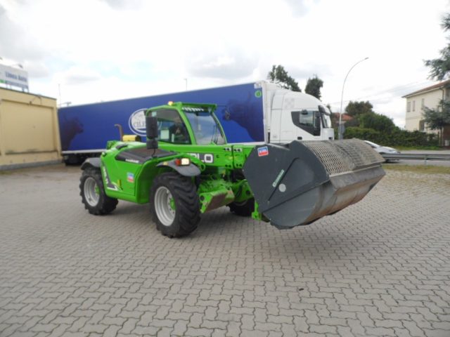 MERLO  Verde pastello