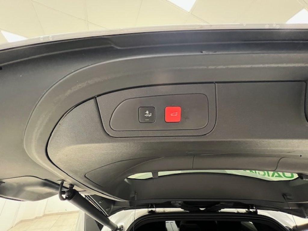 DS AUTOMOBILES DS 7 Crossback -  2.0 bluehdi Grand Chic 180cv a - 13