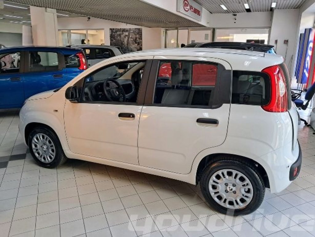 FIAT New Panda / 1.0 FireFly S&S Hybrid Pop KM0 - 3