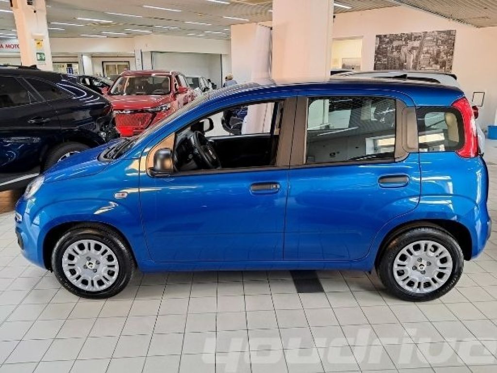 FIAT New Panda / 1.0 FireFly S&S Hybrid Icon KM0 - 3