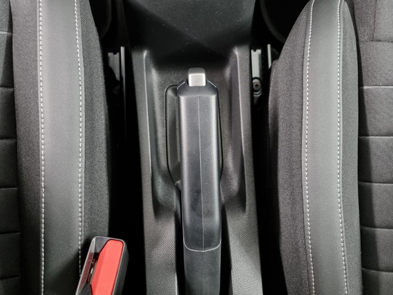 CITROEN C3 PureTech 100 S&SMax - 30