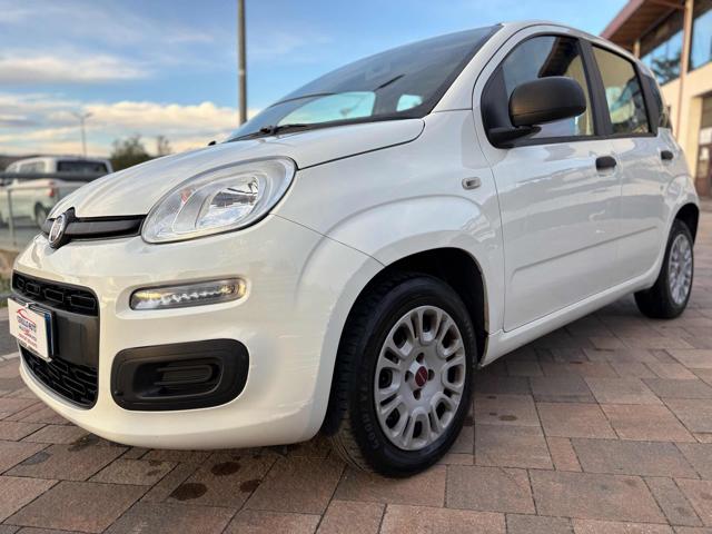 FIAT Panda Bianco metallizzato