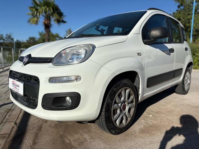 FIAT Panda Bianco pastello