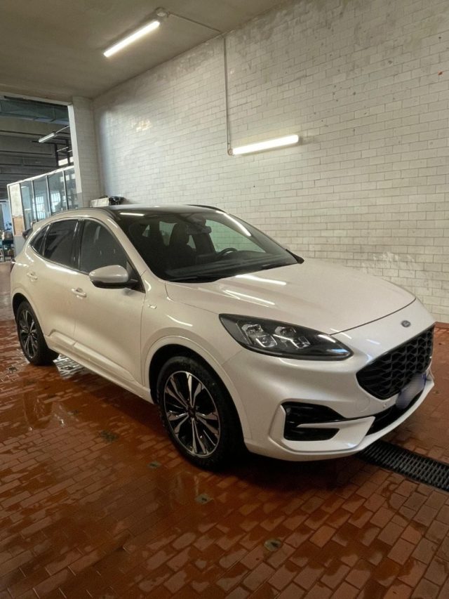 FORD Kuga Bianco perlato